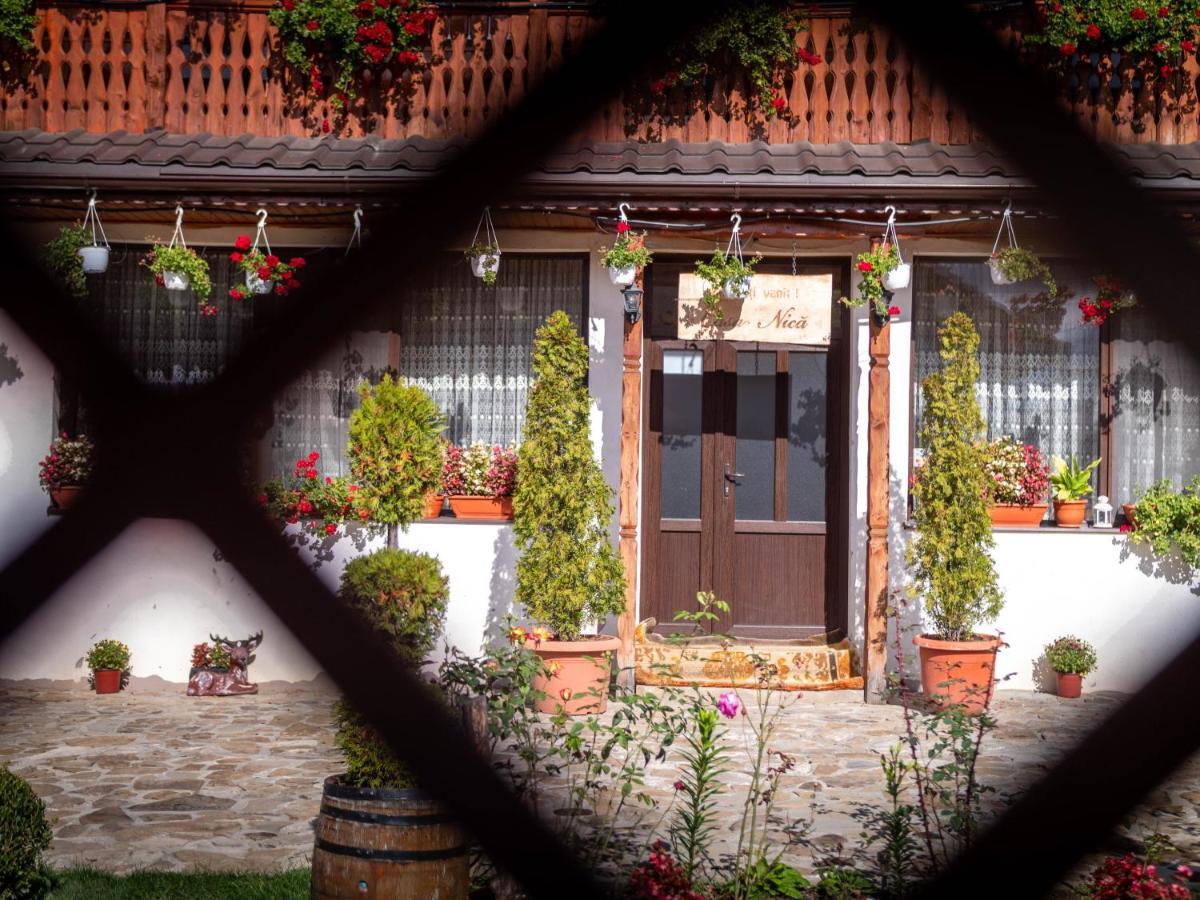Agropensiunea Casa Nica Margineni  Εξωτερικό φωτογραφία