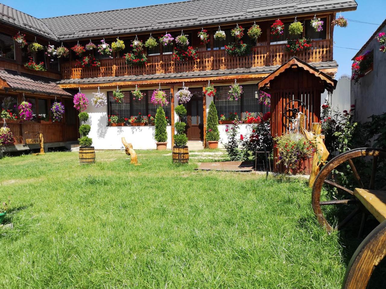 Agropensiunea Casa Nica Margineni  Εξωτερικό φωτογραφία